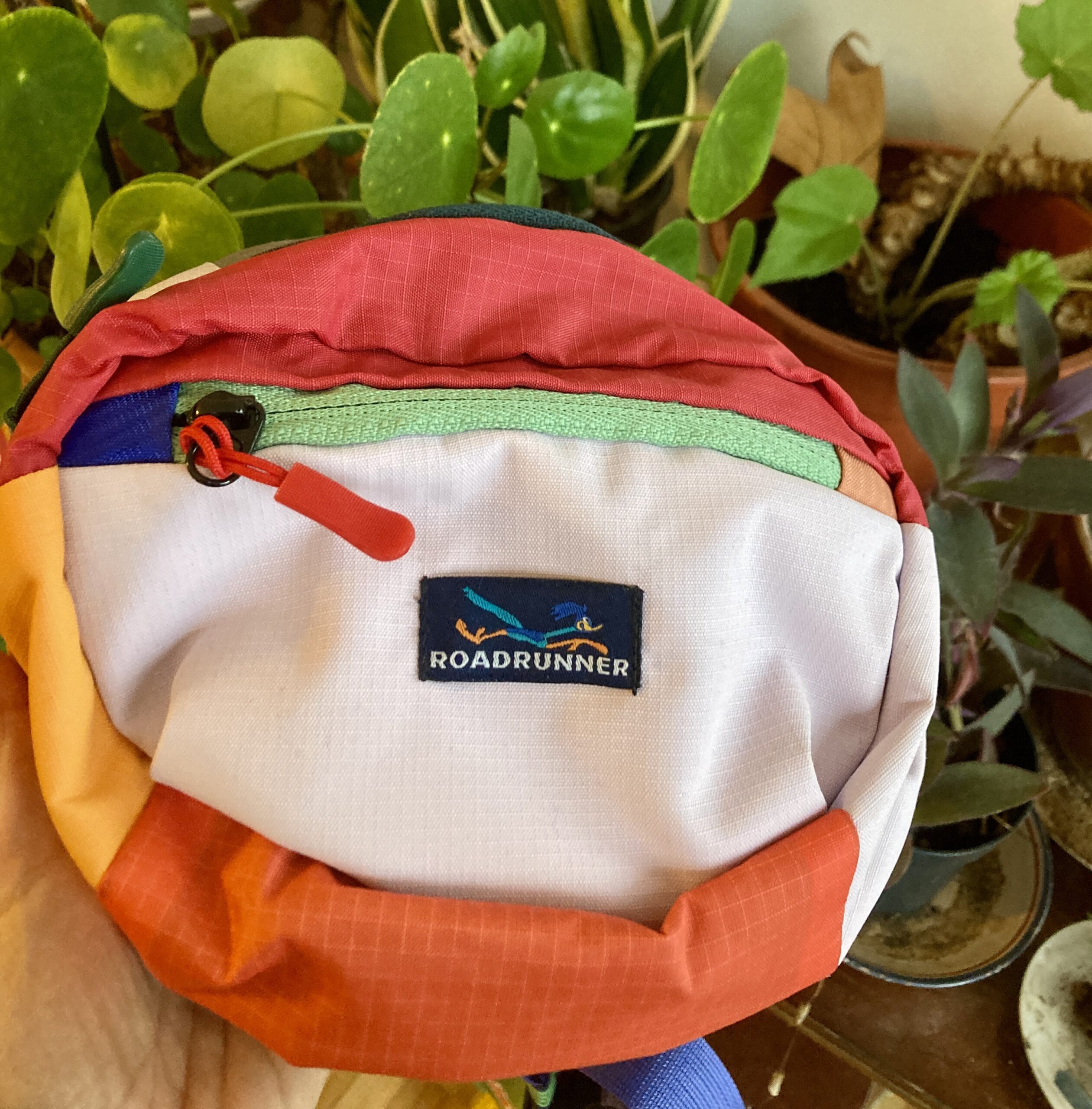 Banane Shirâz Road Runner – Image 5