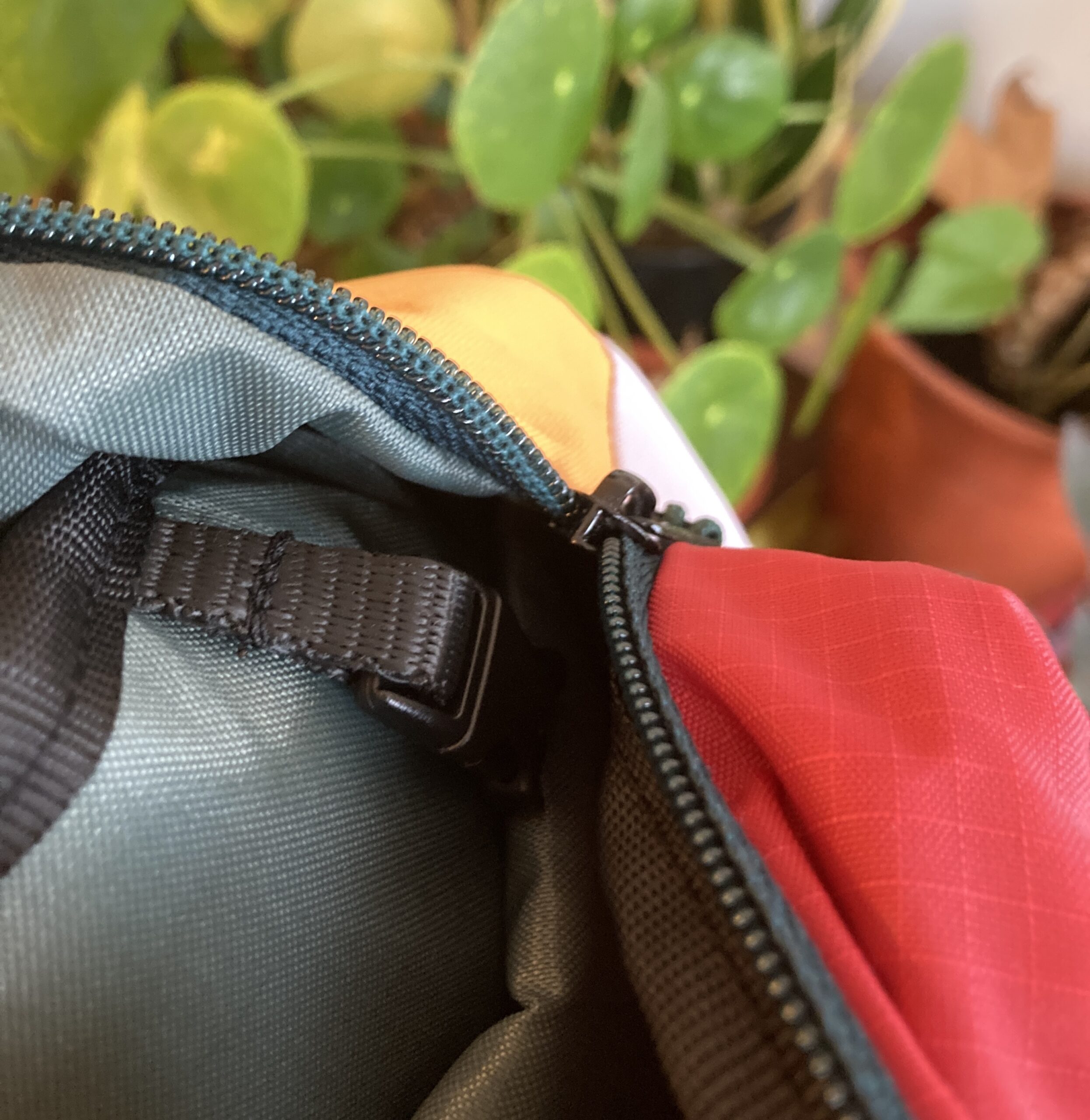 Banane Shirâz Road Runner – Image 8