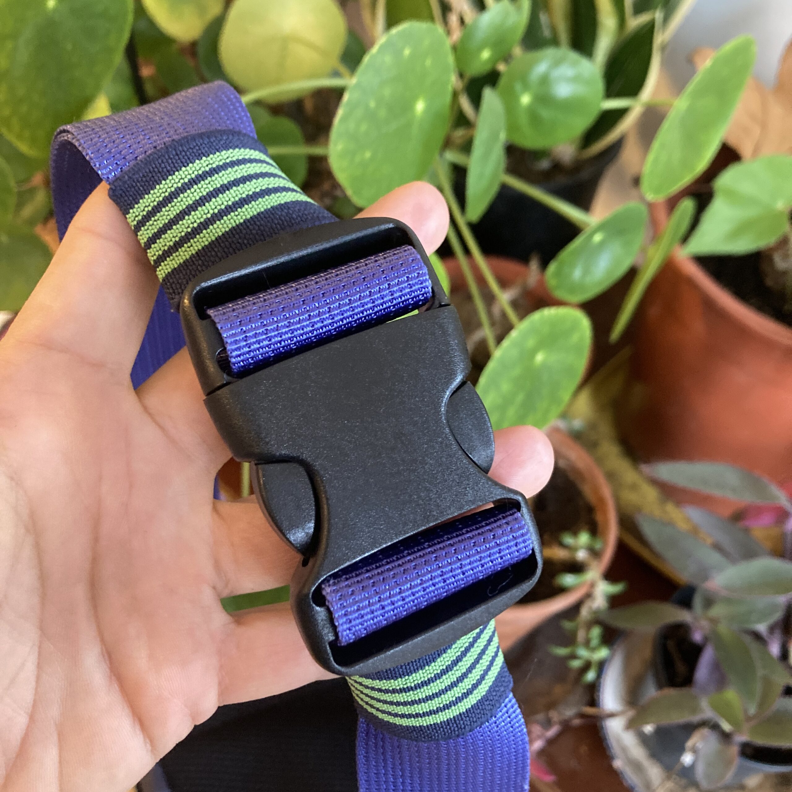 Banane Shirâz Road Runner – Image 4