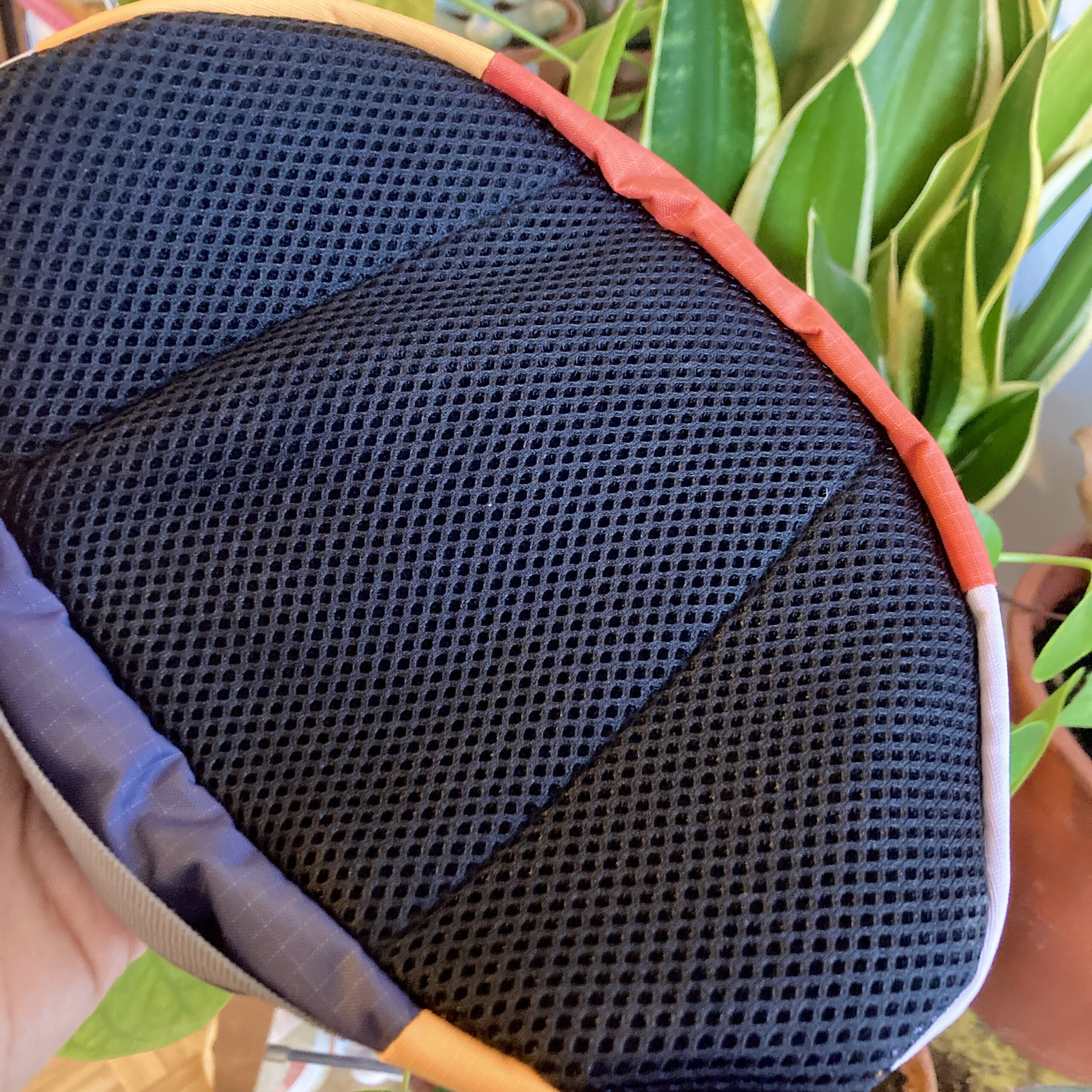 Banane Shirâz Road Runner – Image 9